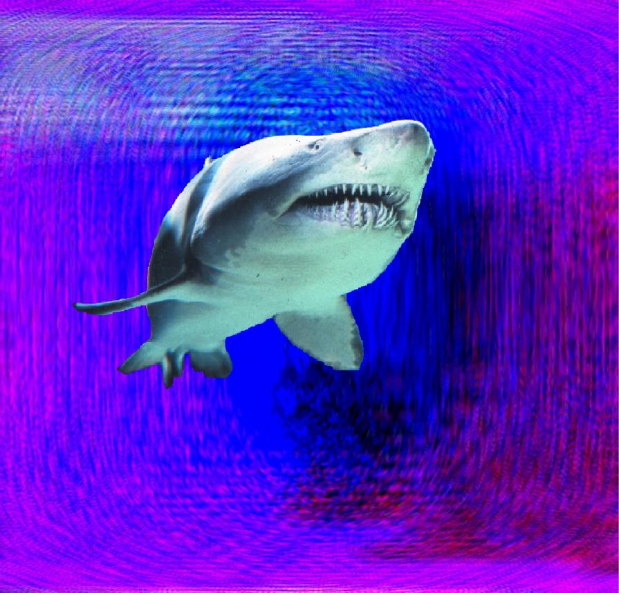 The Eye of a Sharknado