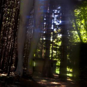 This is the Secret #01 This is the Secret #01