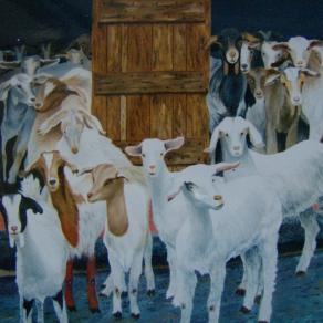 LG 0011 - L'Ovile di Mario - Sardegna