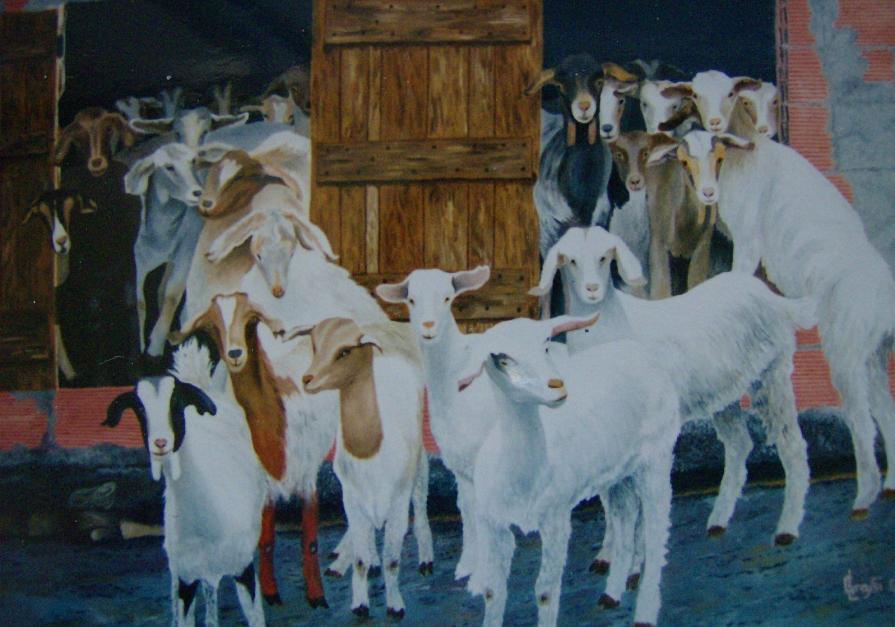 LG 0011 - L'Ovile di Mario - Sardegna