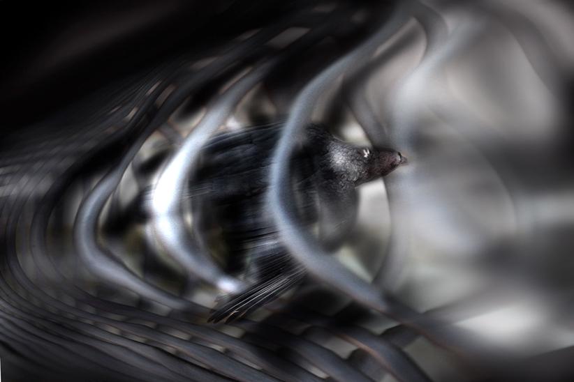 out.... da chi  ??????