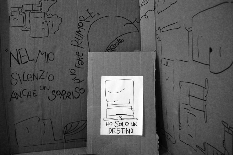 Zirro alla seconda - scatto di Zirro Desirèe