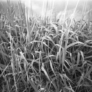 Between Worlds Between Worlds