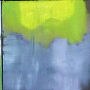 Osservazione delle singole tele. Osservazione delle singole tele.