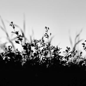 Metto a fuoco ma non dimentico cosa c'è dietro 