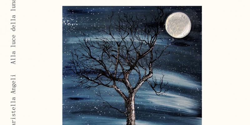 In the "Portal of Mari" "In the light of the moon" 103 haiku by Maristella Angeli