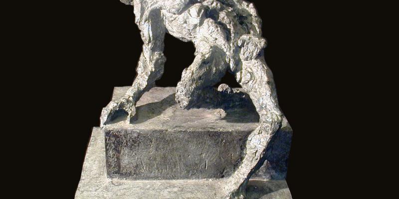 Strappi, segni e ferite