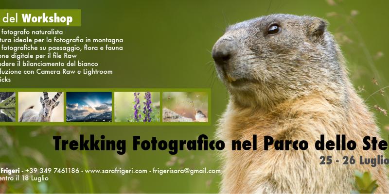 Trekking Fotografico nel Parco dello Stelvio Trekking Fotografico nel Parco dello Stelvio