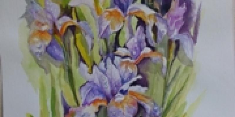 Acquarelli Acquarelli