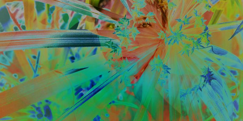 Portraits - Photo Fusion