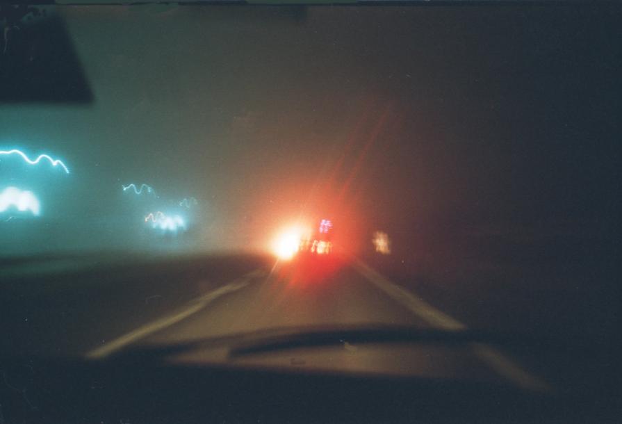 Gabbiani al tramonto