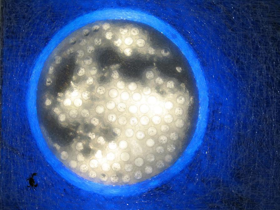 La saggezza della luna e il granchio La saggezza della luna e il granchio