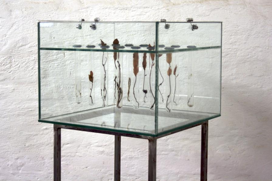 incubator #1 incubator #1