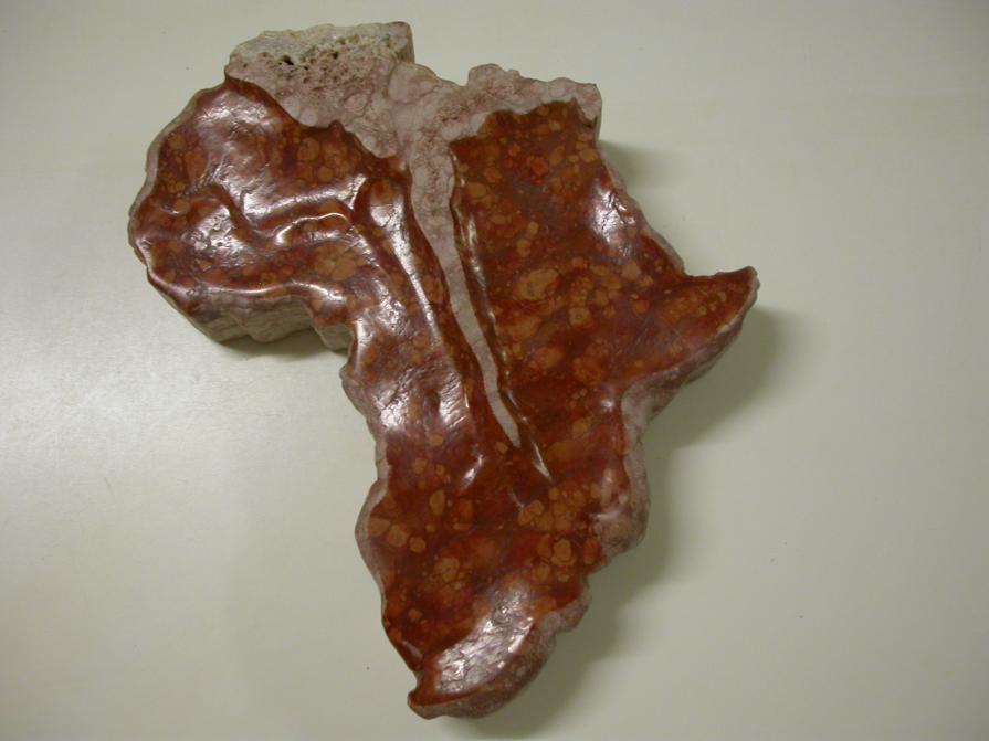 Succulenta Succulenta