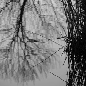 "  LENTI  GESTI  DI  VITA  POCO  VISIBILI "