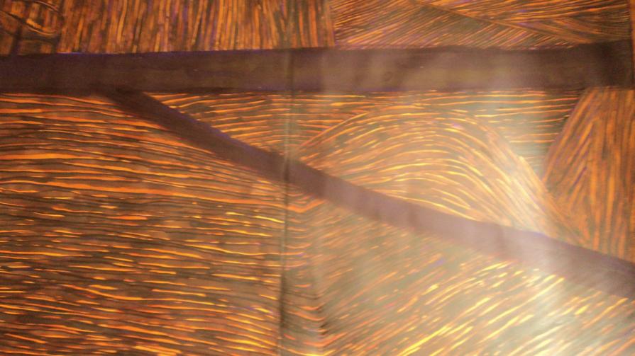 SERIE:CORPORALITY, NATURE: FORMS AND MATTER SERIE:CORPORALITY, NATURE: FORMS AND MATTER