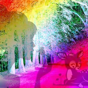 ...ESPRIMI QUEL DESIDERIO CHE SOLO IL TUO CUORE CONOSCE QUESTA NOTTE SI AVVERERA'... AUGURISSIMI DI 