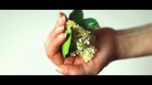 Matilde De Feo - Il mio corpo a Maggio