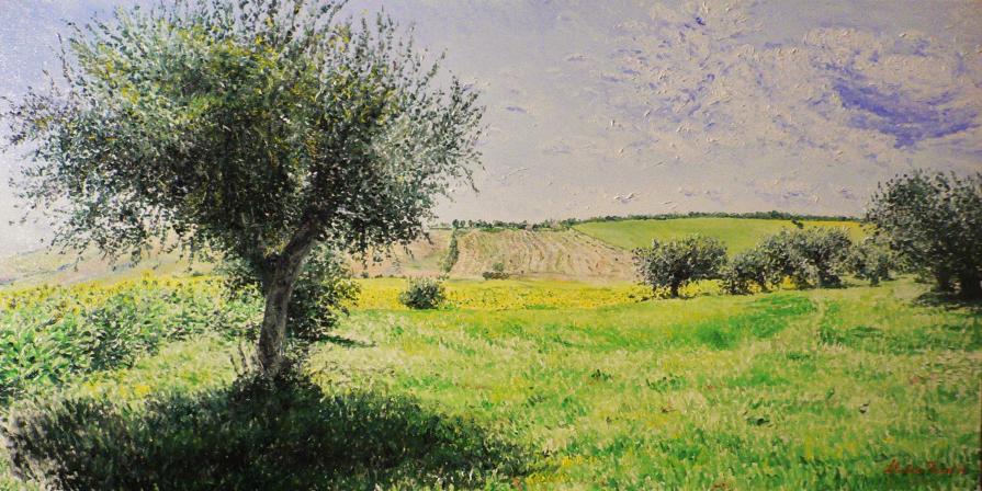 Colline marchigiane con ulivi e girasoli