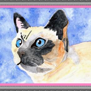 GLI OCCHI DI UN GATTO SONO FINESTRE CHE CI PERMETTONO DI VEDERE DENTRO UN' ALTRO MONDO...!!!