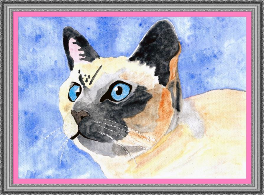 GLI OCCHI DI UN GATTO SONO FINESTRE CHE CI PERMETTONO DI VEDERE DENTRO UN' ALTRO MONDO...!!!