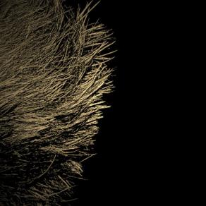 LO SPECCHIO DEI PENSIERI - Lat 50.0499