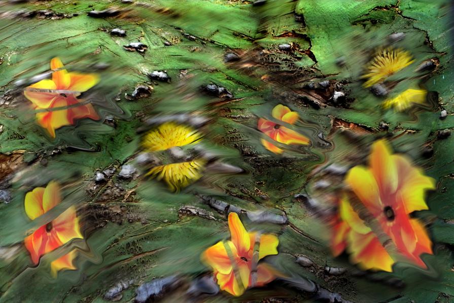 smuove fiori la brezza mattutina.