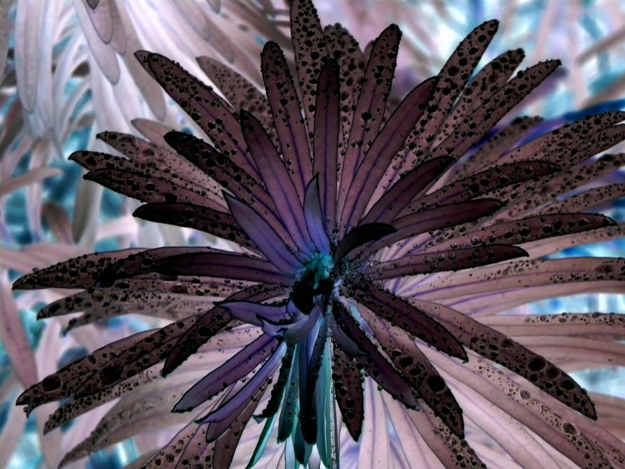 Connessione ultraterrena 