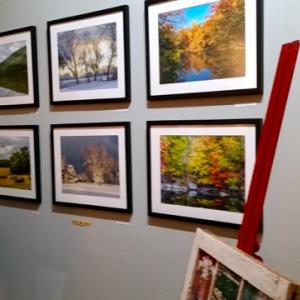 Carla Strozzieri is participating in the group art show "Shimmering" at the Gallery Ava, in Calicoon, NY.