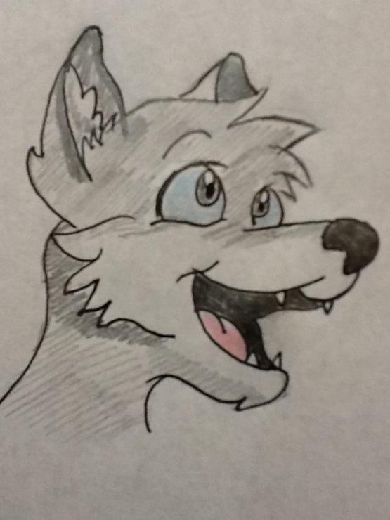  . . . I Disegnini della piccola Tany !!! 15 