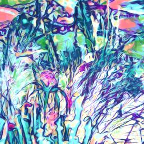 Morning On The Lake With Water Lilies in Background