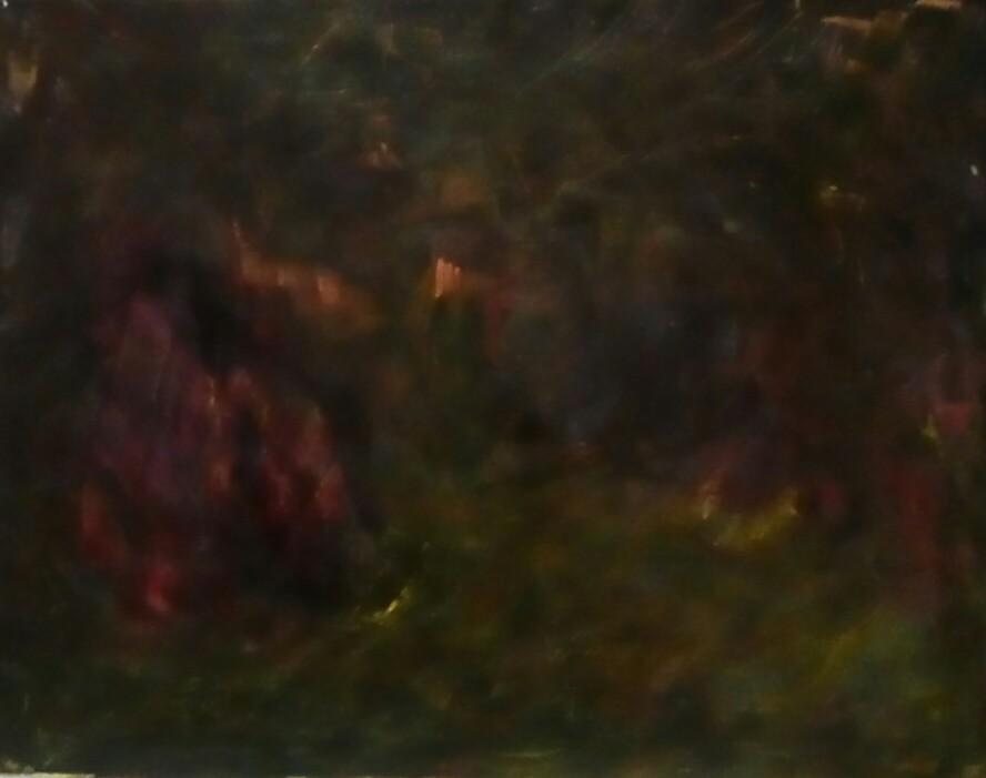 La ragazzina venuta dal Cuzco.