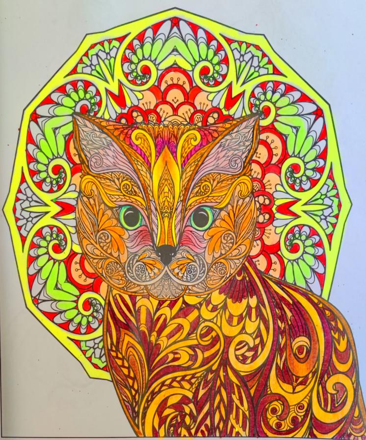 La ricetta dei gatti...!!;