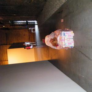 Festival”GLOBALART INTERNATIONAL ART"