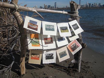 The Cure for Anything The Cure for Anything