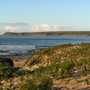 South Africa. Un/natural colors