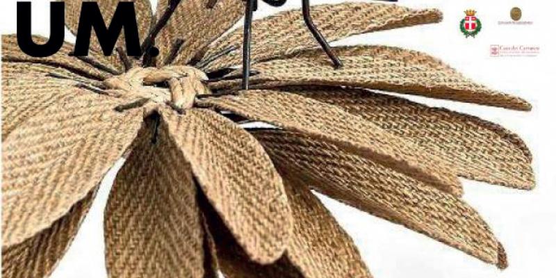 Plantarium- Casa dei Carraresi Plantarium- Casa dei Carraresi