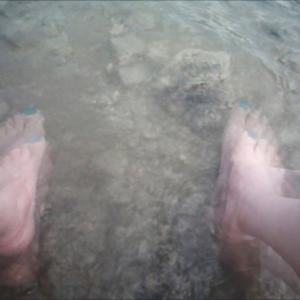 Donauwellen- onde del Danubio