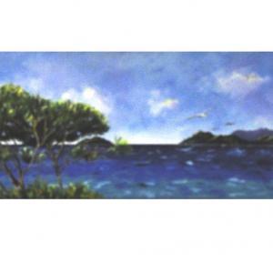 LIGHTS, COLORS AND EMOTIONS