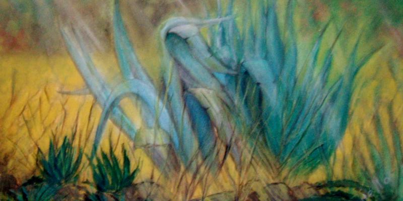 PREMIO VAN GOGH 2012