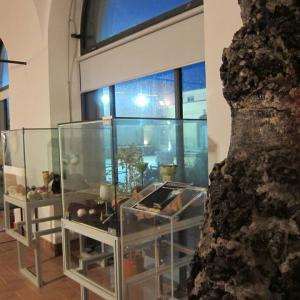 Show Demò Forte Sangallo - Nettuno (Rome)