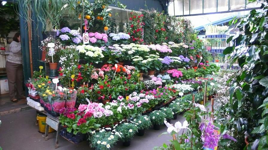 Le marché aux fleurs