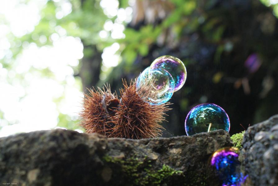 Amicizia impossibile