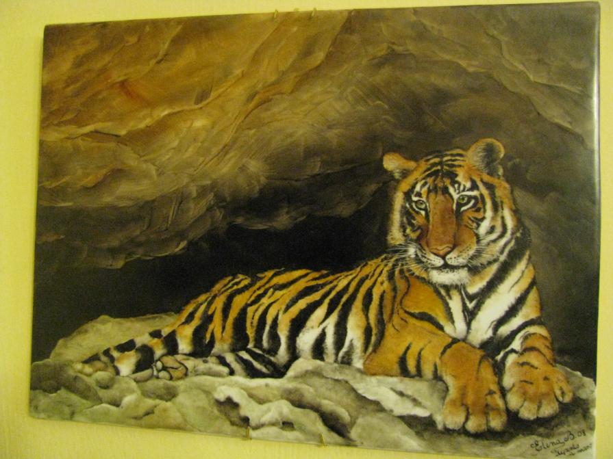 La Tigre osserva La Tigre osserva