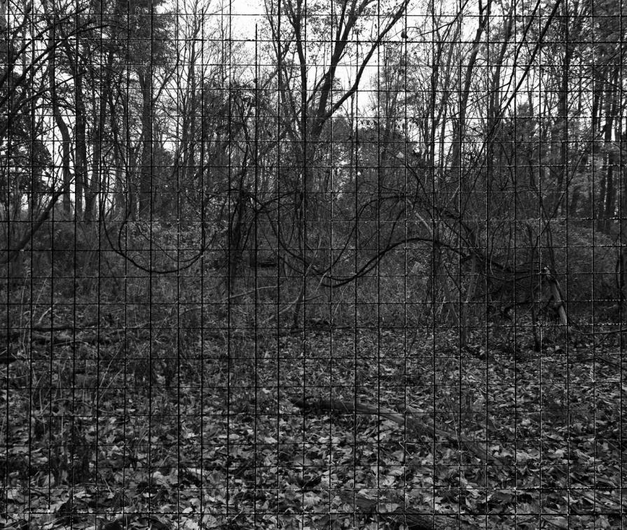 Broken Grid #7, 2013