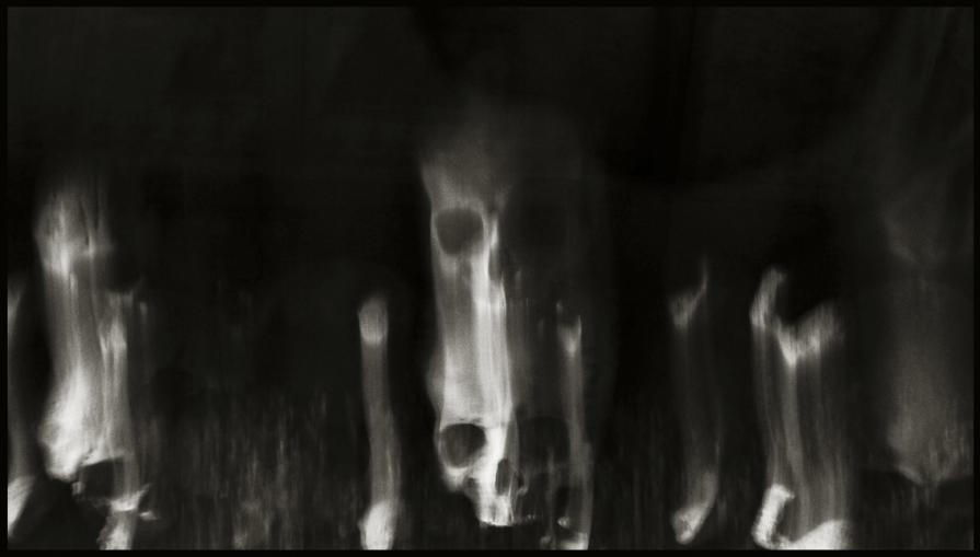 Skulls (Skull, Teschi, Teschio) - fotografia di Augusto De Luca. 37