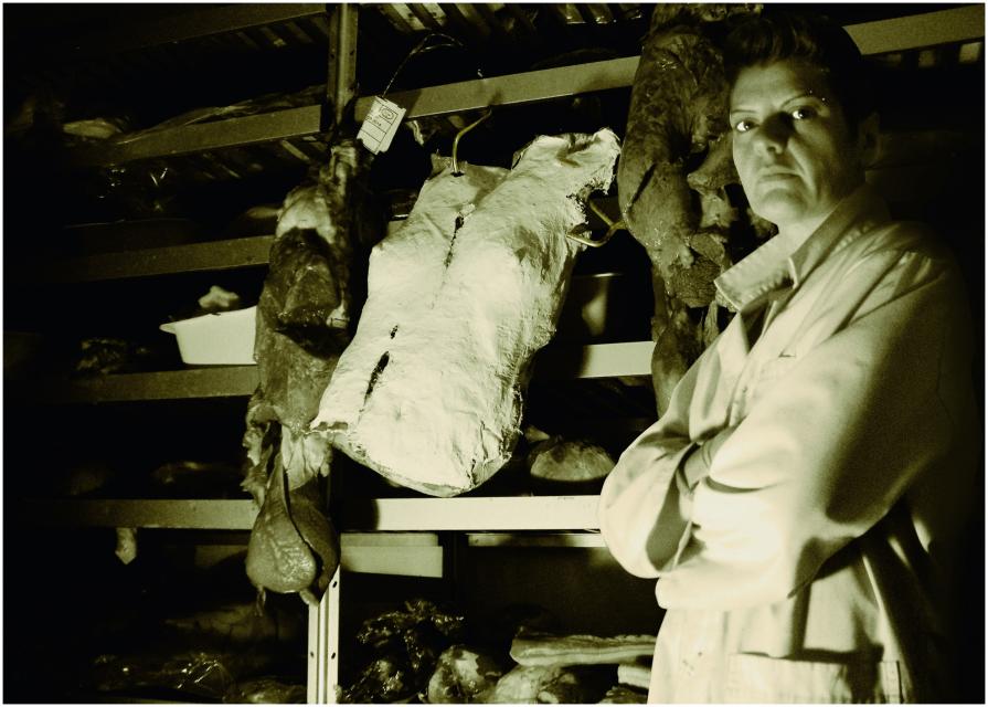 Macelleria Macelleria