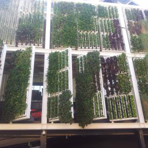 verde ovunque (foto GiuliArt)