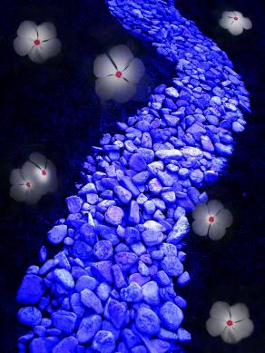 La Felicità è la Strada