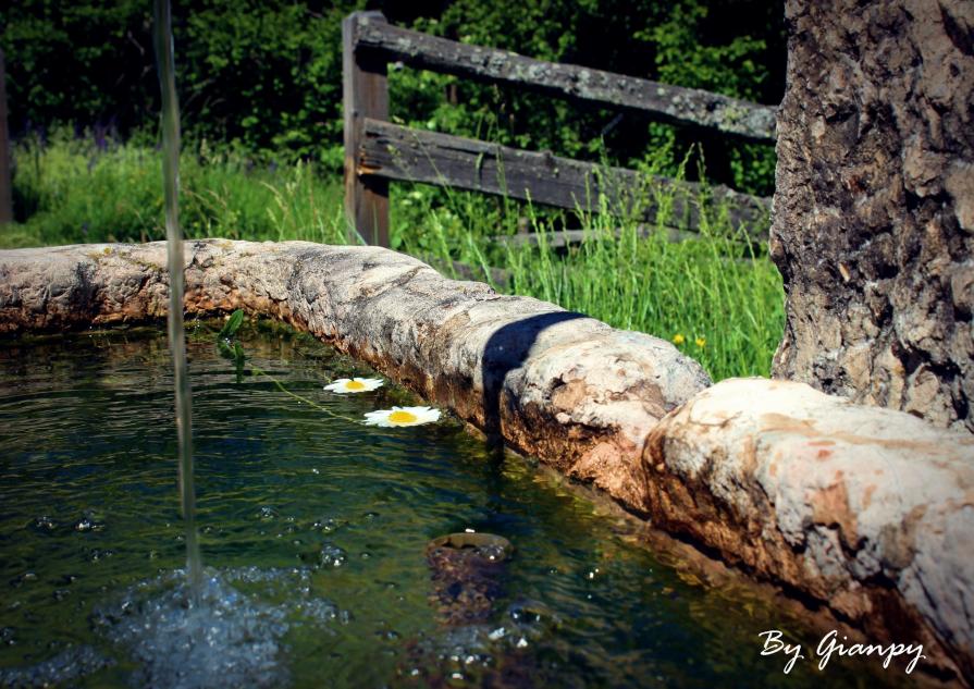 fonte di ispirazione